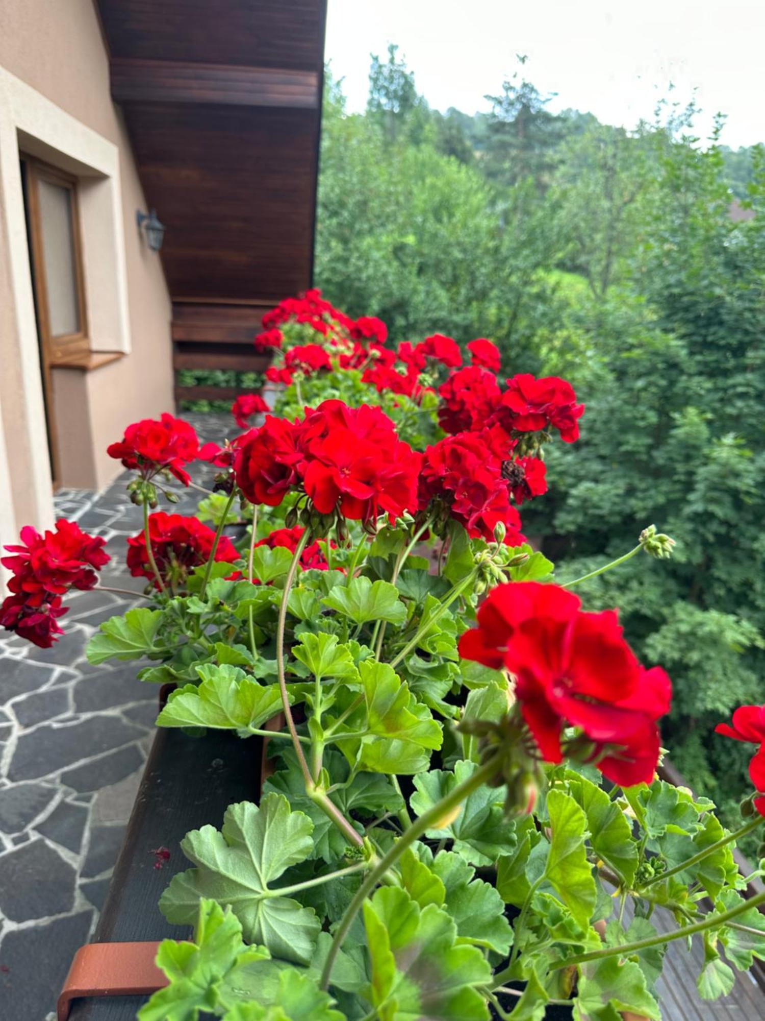 Holiday Home Skalka มีโต ป็อด จุมเบียรอม ภายนอก รูปภาพ