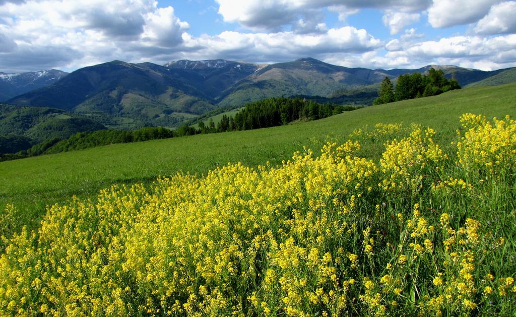 Holiday Home Skalka มีโต ป็อด จุมเบียรอม ภายนอก รูปภาพ
