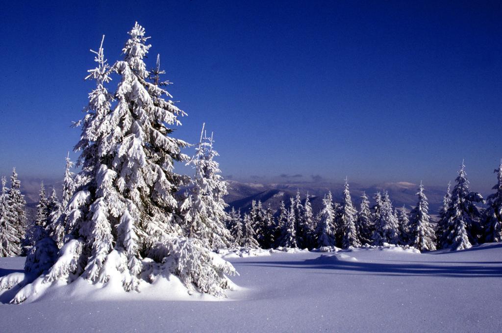 Holiday Home Skalka มีโต ป็อด จุมเบียรอม ภายนอก รูปภาพ